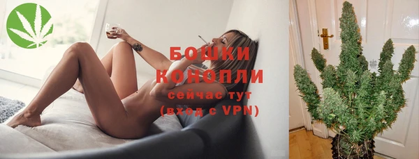 прущие грибы Аркадак