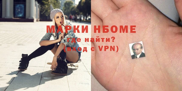 прущие грибы Аркадак
