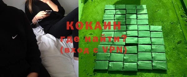 прущие грибы Аркадак